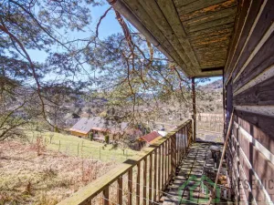 Prodej chaty, Líšný - Líšný 2.díl, 19 m2