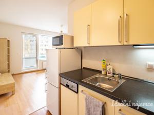 Pronájem bytu 1+kk, Praha - Horní Měcholupy, Hornoměcholupská, 31 m2