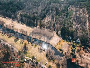 Prodej lesa, Plešnice, 4109 m2