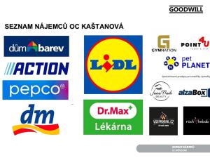 Pronájem ordinace, Brno, Kaštanová, 589 m2