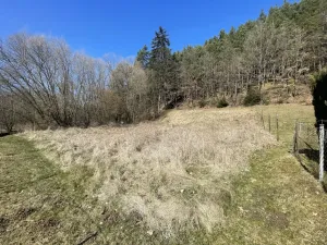 Prodej zahrady, Dlouhá Ves, 782 m2