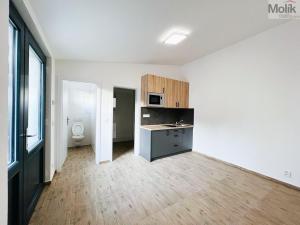 Pronájem bytu 1+1, Ústí nad Labem - Brná, Karla Maye, 30 m2