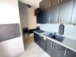 Pronájem bytu 3+1, Opava - Předměstí, Haškova, 66 m2