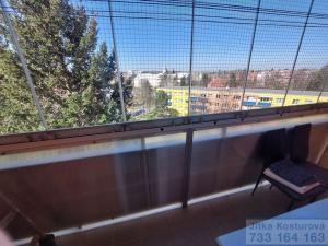Pronájem bytu 3+1, Opava - Předměstí, Haškova, 66 m2