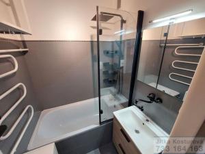 Pronájem bytu 3+1, Opava - Předměstí, Haškova, 66 m2