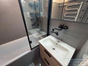 Pronájem bytu 3+1, Opava - Předměstí, Haškova, 66 m2