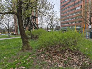 Prodej bytu 3+1, Orlová, Vnitřní, 71 m2