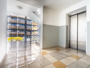 Pronájem bytu 2+kk, Brno - Lesná, Haškova, 79 m2