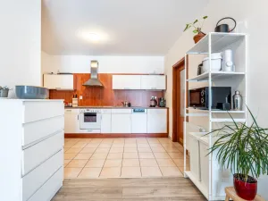 Pronájem bytu 2+kk, Brno - Lesná, Haškova, 79 m2