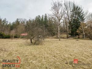 Prodej louky, Rokytnice nad Jizerou - Dolní Rokytnice, 3901 m2