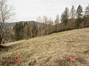 Prodej louky, Rokytnice nad Jizerou - Dolní Rokytnice, 3901 m2