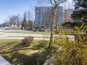 Prodej bytu 1+kk, Jindřichův Hradec, sídliště Vajgar, 25 m2