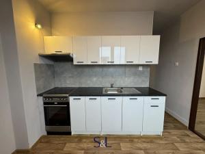 Pronájem bytu 2+1, Kamenický Šenov, Trtíkova, 65 m2