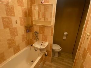 Pronájem bytu 1+1, Habartov, Karla Čapka, 36 m2