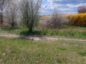 Pronájem zahrady, Olomouc - Povel, 407 m2