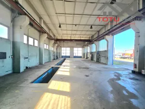 Pronájem výrobních prostor, Černožice, K čáslavkám, 3010 m2