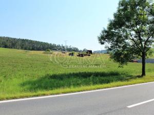 Prodej podílu 1/2 pozemku pro bydlení, Obory, 41779 m2