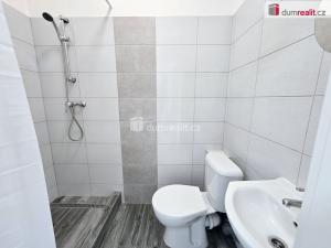 Pronájem bytu 1+kk, Lužná, Nová, 22 m2