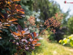 Prodej rodinného domu, Loucká, 220 m2