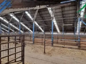 Prodej zemědělského objektu, Dlouhý Újezd, 10000 m2