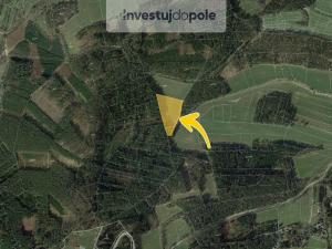 Prodej louky, Pracejovice - Makarov, 1384 m2