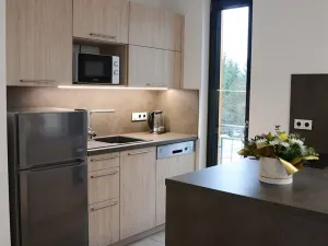 Pronájem bytu 2+kk, Rokytnice nad Jizerou - Horní Rokytnice, Horní Rokytnice, 33 m2