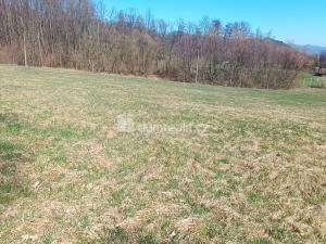 Prodej pozemku pro bydlení, Heřmanov - Fojtovice, 4280 m2