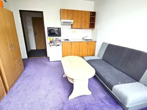 Pronájem bytu 1+kk, Písek, Dr. M. Horákové, 20 m2