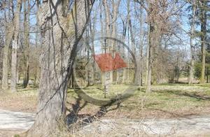 Prodej rodinného domu, Jemnice, Polická, 150 m2