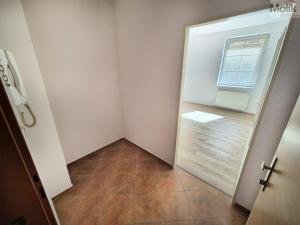 Pronájem bytu 1+1, Teplice - Trnovany, Štúrova, 42 m2