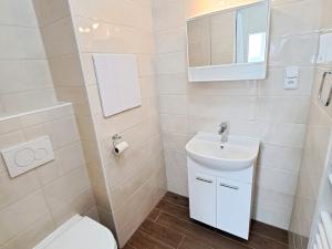 Pronájem bytu 1+1, České Budějovice, Kubatova, 50 m2