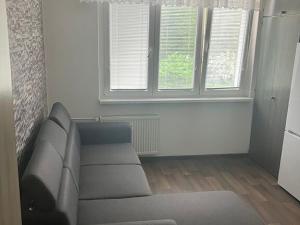 Pronájem bytu 1+1, Mariánské Lázně, Husova, 45 m2