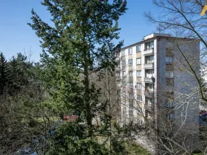 Pronájem bytu 2+1, Písek - Budějovické Předměstí, Dr. M. Horákové, 53 m2