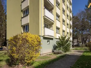 Pronájem bytu 2+1, Písek - Budějovické Předměstí, Dr. M. Horákové, 53 m2