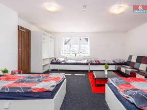 Prodej ubytování, Nové Město pod Smrkem, Železná, 281 m2