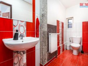 Prodej rodinného domu, Nové Město pod Smrkem, Železná, 281 m2