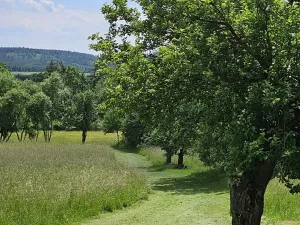 Prodej zemědělské usedlosti, Slabčice, 110 m2