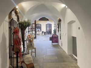 Pronájem obchodního prostoru, České Budějovice - České Budějovice 1, Krajinská, 20 m2