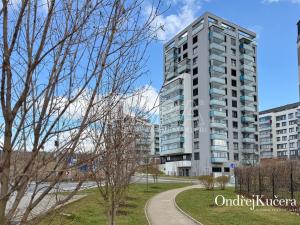 Prodej bytu 2+kk, Praha - Hloubětín, Laponská, 138 m2