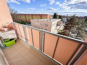 Pronájem bytu 2+1, Duchcov, Zahradnictví, 52 m2