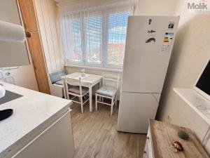 Pronájem bytu 2+1, Duchcov, Zahradnictví, 52 m2