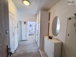 Pronájem bytu 2+1, Duchcov, Zahradnictví, 52 m2