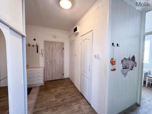 Pronájem bytu 2+1, Duchcov, Zahradnictví, 52 m2