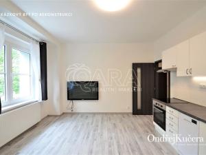 Prodej bytu 2+kk, Praha - Žižkov, Biskupcova, 45 m2