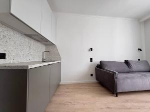 Pronájem bytu 1+kk, Praha - Žižkov, Hartigova, 22 m2