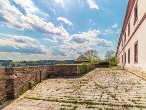 Prodej komerčního pozemku, Manětín - Rabštejn nad Střelou, 7700 m2
