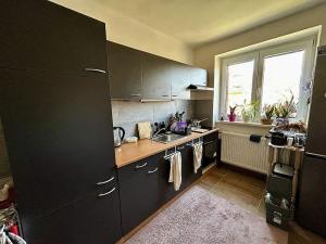 Pronájem bytu 2+1, Teplice, Svojsíkova, 55 m2