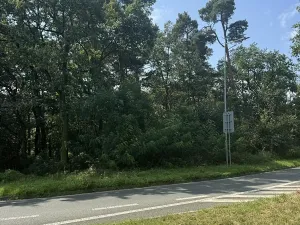 Prodej podílu lesa, Pardubice, 4656 m2