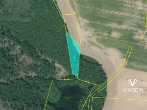 Prodej lesa, Velký Malahov, 1065 m2