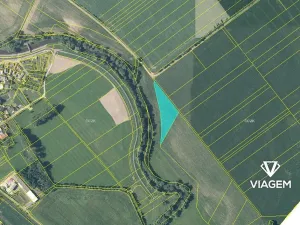 Prodej podílu pole, Holasovice, 22403 m2